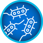 E coli icon