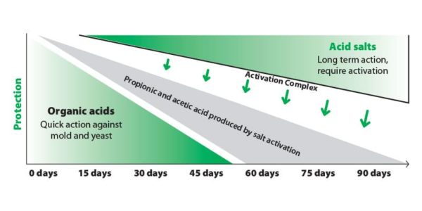 activation-complex-globamold