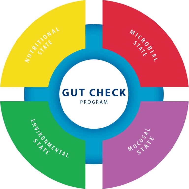 Gut check Global Nutrition International